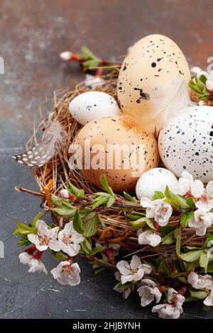 Easter eggs in nest and cherry blossom. Chicken and quail eggs. Spring greeting card Stock Photo