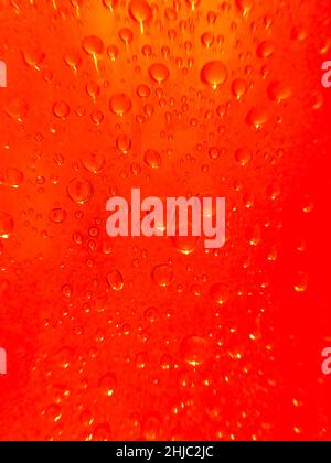 semi-abstract close up of water droplets on a deep orange background Stock Photo