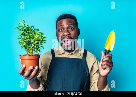 african american man in black apron is ready to spring season in blue studio background Stock Photo