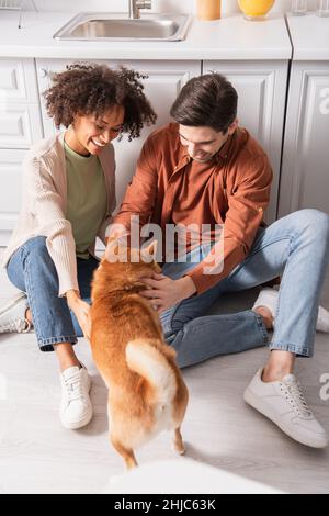 happy multiethnic couple cuddling shiba inu dog on kitchen floor Stock Photo