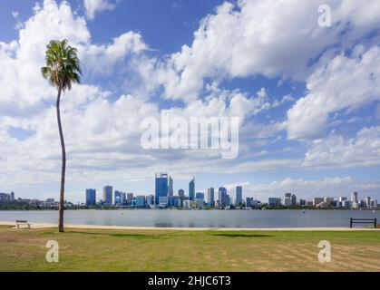 Perth, Australia - City Central Business District and Elizabeth Quay across Swan River from South Perth with palm tree Stock Photo