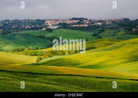 Spring Tuscany. View of the green fields lit by the rays of the sun. In the distance you can see the city of San Quirico d'Orcia Stock Photo