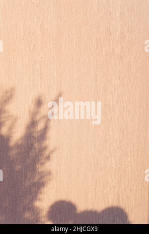 Leaf shadow and light on wall background. Sepia toned. Stock Photo