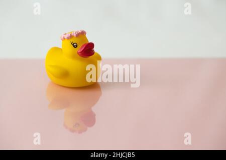 Yellow Bathtub Duck Bride with Reflection Stock Photo