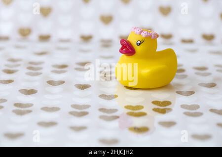 Yellow Bathtub Duck Bride with Reflection Stock Photo