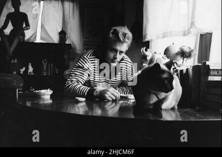 Actor James Dean, photographed circa 1955. Stock Photo