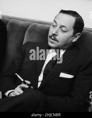 American playwright Tennessee Williams (1911 - 1983), author of 'A Streetcar Named Desire' and 'Cat on a Hot Tin Roof.' Stock Photo