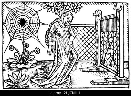 Arachne is the protagonist of a tale in Greco-Roman mythology. The talented mortal Arachne, daughter of Idmon, challenged Minerva, goddess of wisdom and crafts, to a weaving contest. When Minerva could find no flaws in the tapestry Arachne had woven for the contest, the goddess became enraged and beat the girl with her shuttle. After Arachne hanged herself out of shame, she was transformed into a spider. Stock Photo