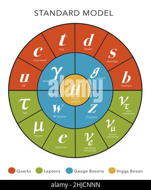 A diagram of the Standard Model to show particle physics. Particle physics standard model. The illustration shows quarks (red), leptons (green), gauge bosons (blue) and the Higgs boson (yellow). Stock Photo