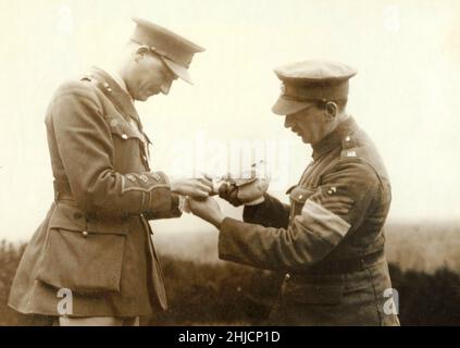 Two First World War allied soldiers bandaging the leg of a carrier pigeon that returned wounded with a message. Stock Photo