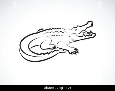 Vector of crocodile design on white background. Wild Animals. Reptile. Easy editable layered vector illustration. Stock Vector