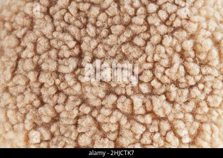 Beige wool background, natural sheepskin close-up. Top view Stock Photo