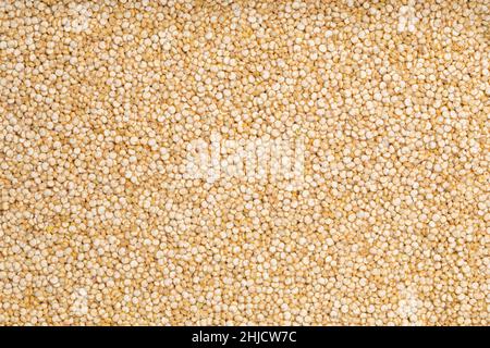 Full frame studio macro shot with top view of quinoa Stock Photo