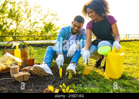 latin brazilian brother and sister working in garden outdoor planting seedlings Stock Photo