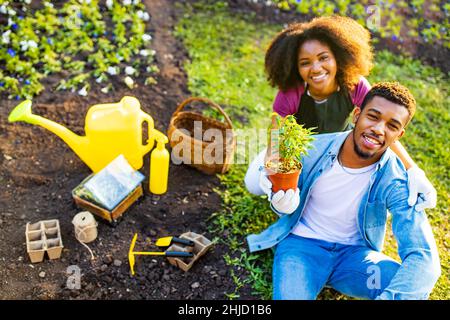 latin brazilian brother and sister working in garden outdoor planting seedlings Stock Photo