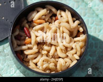 fly larvae in a plastic jar for fishing in the sun, maggots. Stock Photo
