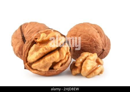 fresh kernels, broken and whole walnuts close-up isolated on white background Stock Photo