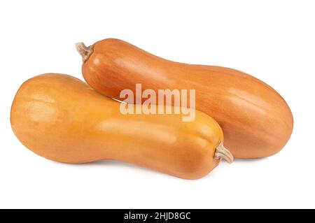 two butternut pumpkins isolated on white background Stock Photo