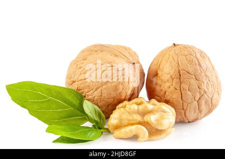fresh kernels, green basil leaf and whole walnuts close-up isolated on white background Stock Photo