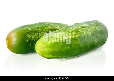 two green ripe cucumbers isolated on white background Stock Photo