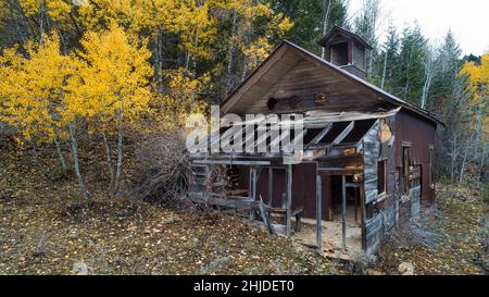 neglected old house in the woods Stock Photo