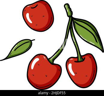 Cherry colorful vector illustration isolated on white background. Hand drawn style, cute doodle art. Agricultural concept. Fruits and berries for gardening. Healthy diet. Stock Vector
