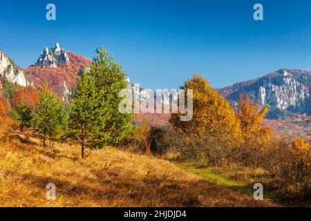Colorful landscape in autumn, National Nature Reserve Sulovske skaly, Slovakia. Stock Photo