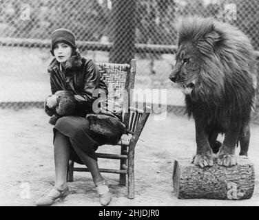 Swedish actress Greta Garbo. 1905-1990. Swedish actress with her glory days during the 1920s and 1930s. She retired from the screen at the age of 35 after acting in 28 films. Pictured here with Leo the lion, the mascot and symbol for the american moviecompany Metro Goldwyn Mayer. At this time 1926 Garbo just recently signed a contract for doing films in Hollywood and the picture was taken to create attention to the new swedish moviestar. Stock Photo