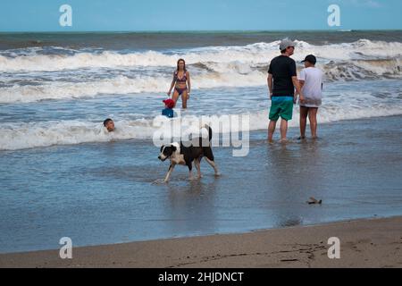 Palomino, Dibulla, La Guajira, Colombia - December 4 2021: Black Mongrel Dog Walking in the Sand of the Beach near to the People Stock Photo