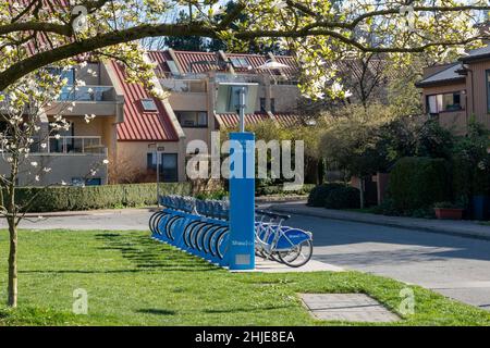 Shaw Go bike share station at Charleson Park in springtime season. Bicycles can be rented and returned. Stock Photo