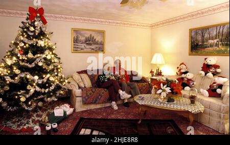 usa massachussetts rehoboth; decoration interieure; christmas Stock Photo