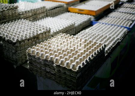 Group of empty egg cartons Stock Photo