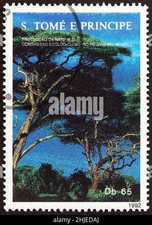 SAO TOME AND PRINCIPE - CIRCA 1992: A stamp printed in Sao Tome and Principe shows Rain forest, circa 1992. Stock Photo