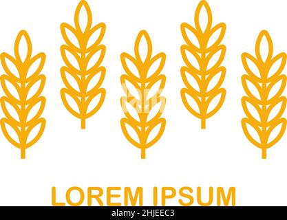 Wheat ears icon vector farm logo template. Line whole grain symbol illustration for organic eco bakery business, agriculture, beer on white background. Stock Vector