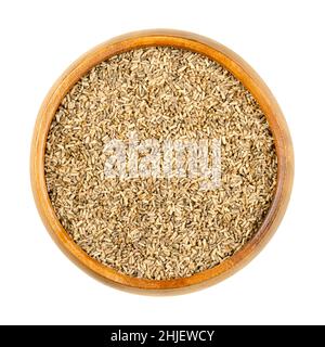 Common chicory seeds, in a wooden bowl. Cichorium intybus, plant of daisy family Asteraceae, with blue flowers. Seeds for growing microgreens. Stock Photo