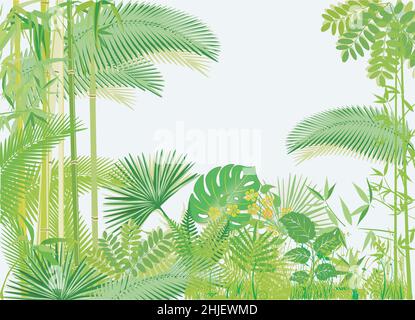 Rainforest Tropical Jungle illustration, vector Stock Vector