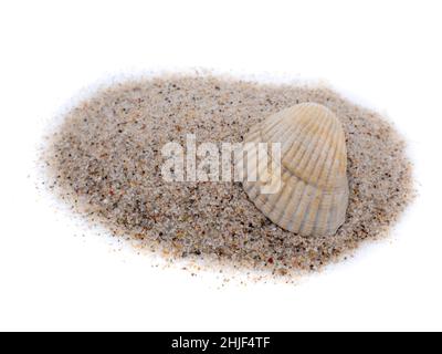 Shell with sand from the beach isolated Stock Photo