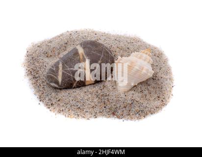 Stone and shell isolated on white background Stock Photo