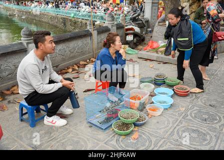 A Vietnamese man and woman sell live birds, finches, goldfish, terrapins and sea snails near Hồ Tây Lake in Hanoi, Vietnam, Southeast Asia Stock Photo