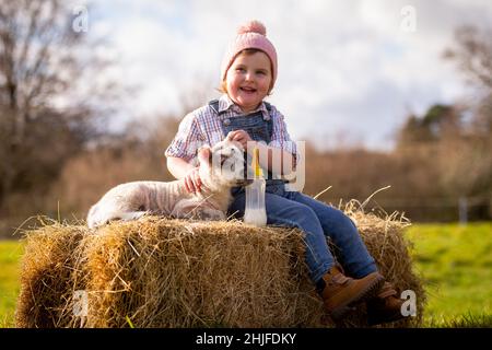 Arley, Worcs, UK. 29th Jan, 2022. Two year old Myla May Mills attempts to feed Jubilee, a one day old lamb, on her fanily's farm in Arley, Worcestershire. The newborn lamb was named Jubilee in honour of this year being The Queen's Platinum Jubilee. Credit: Peter Lopeman/Alamy Live News Stock Photo