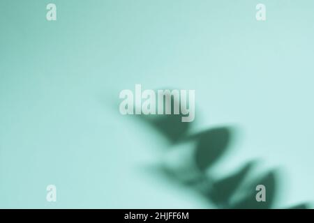 Natural leaves shadow on gradient paper background. Abstract blue and mint floral backdrop. Soft light. Stock Photo