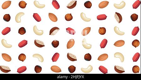 Panoramic walnut pattern, different varieties of nuts - Vector illustration Stock Vector