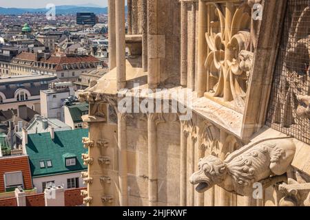 Gargoyle on St. Stephen's Cathedral, Vienna, Austria Stock Photo