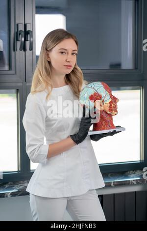 Cosmetologist holding anatomical artificial model of head in cometology clinic. Maquette of face for doctor use Stock Photo