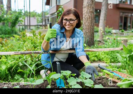 Middle age woman caring for cucumber seedlings in the garden, smiling female looking at camera. Stock Photo