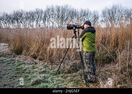 Wild Life photographer in the Marshland, Devon, England Stock Photo