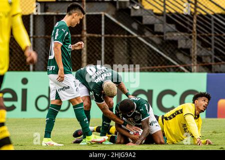 Santos x Botafogo-SP, São Bernardo x Palmeiras Saiba onde