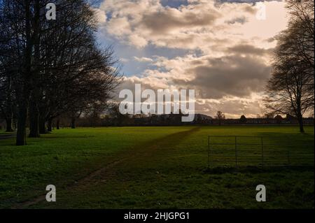 flat playing fields with muddy path, metal fence and row of trees under bright sun shining through clouds in winter Stock Photo