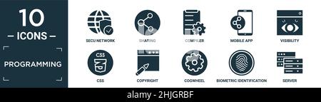 filled programming icon set. contain flat secu network, sharing, compiler, mobile app, visibility, css, copyright, cogwheel, biometric identification, Stock Vector