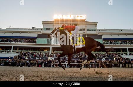 Hallandale Beach, FL, USA. 12th Apr, 2014. January 29, 2022: Life Is Good #4, ridden by jockey Irad Ortiz Jr. wins the Pegasus World Cup Invitational Stakes (Grade 1) on Pegasus World Cup Day at Gulfstream Park in Hallandale Beach, Florida on January 29th, 2022. Scott Serio/Eclipse Sportswire/CSM/Alamy Live News Stock Photo